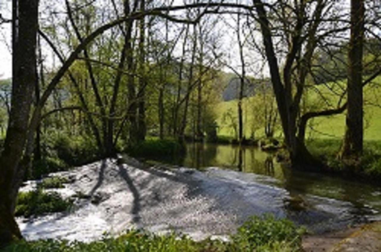 Gasthaus Holdermuehle Creglingen Zewnętrze zdjęcie